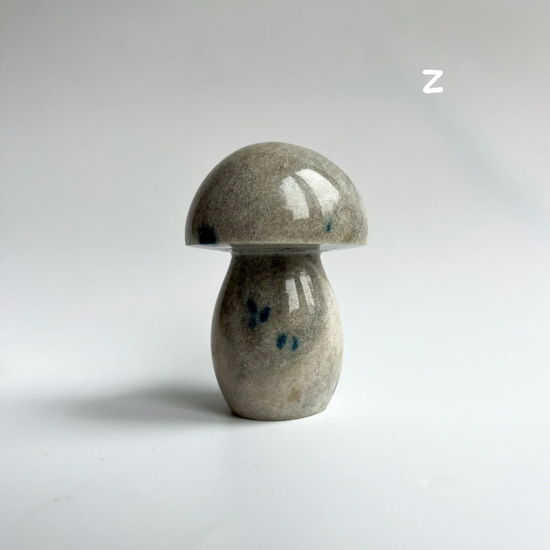 PILZE