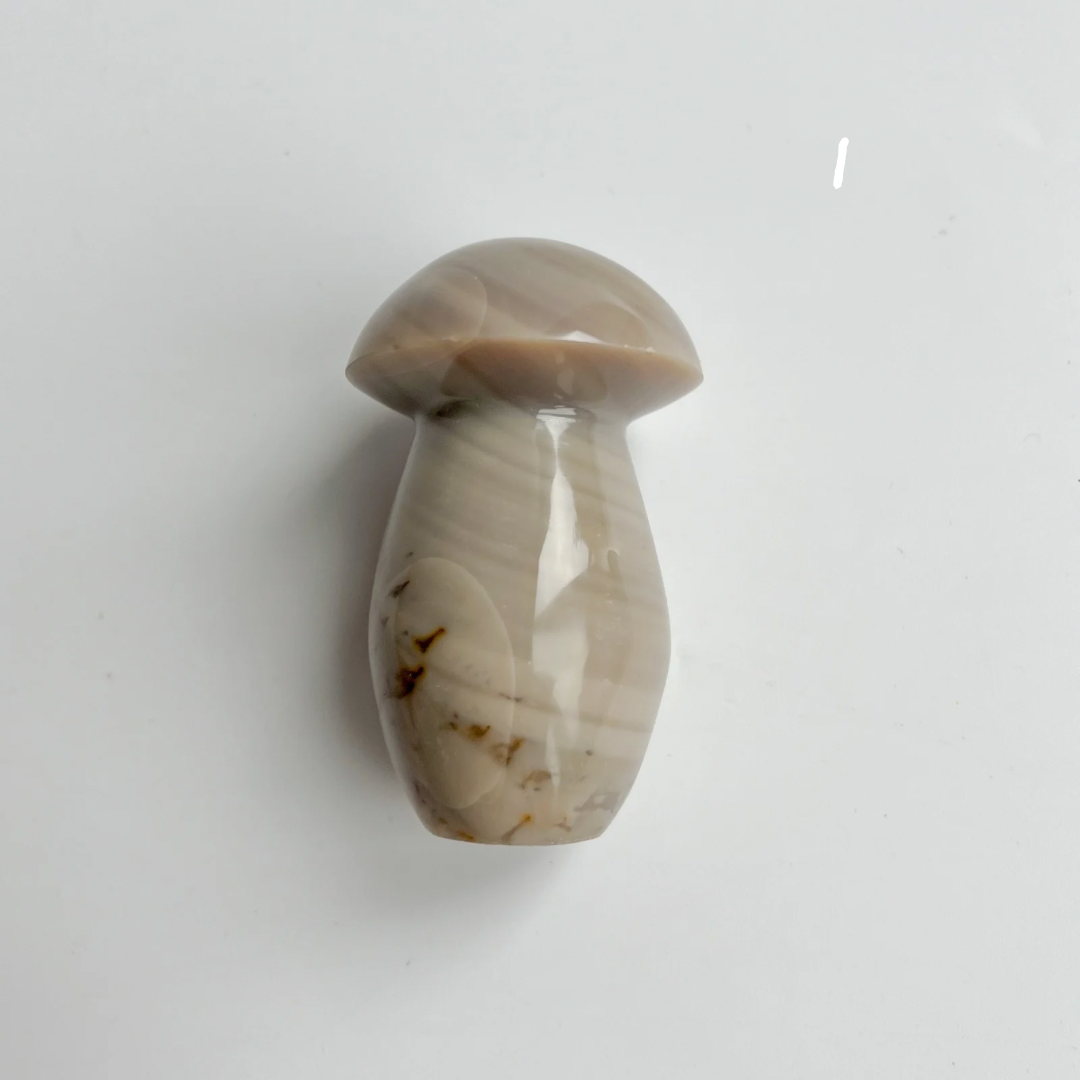 PILZE