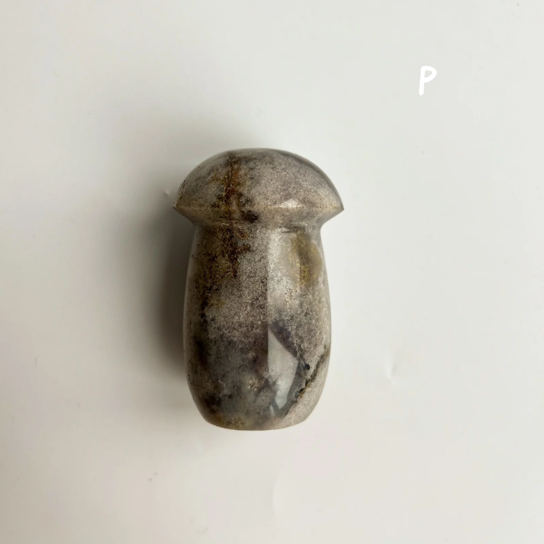 PILZE