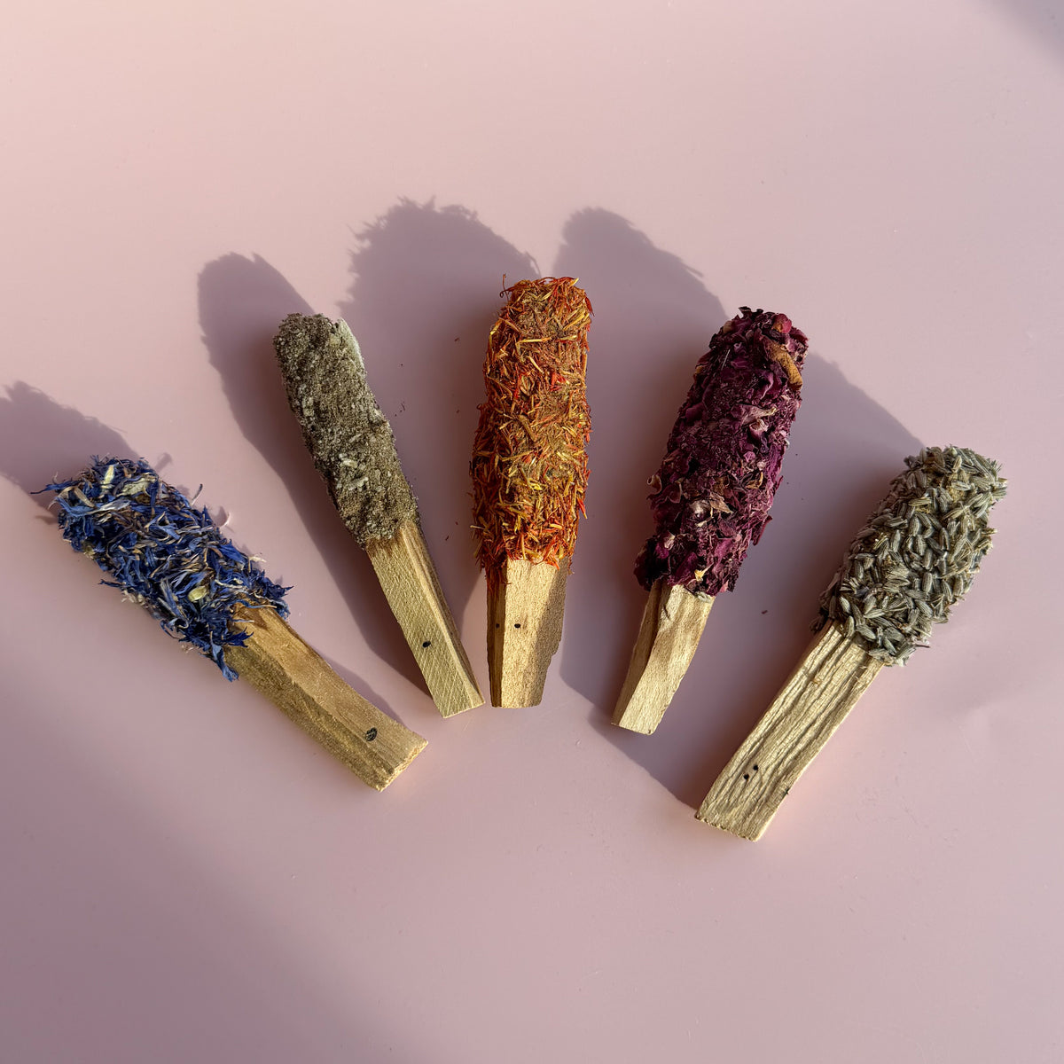 BLOOMING PALO SANTO